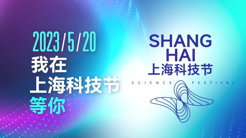 系统集成项目经理：构建现代企业信息架构的关键角色
