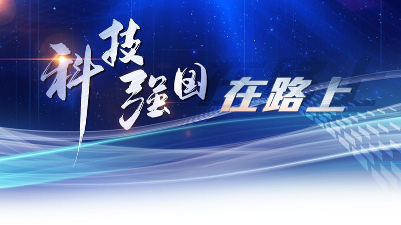 企业数字化代理的四个认知陷阱