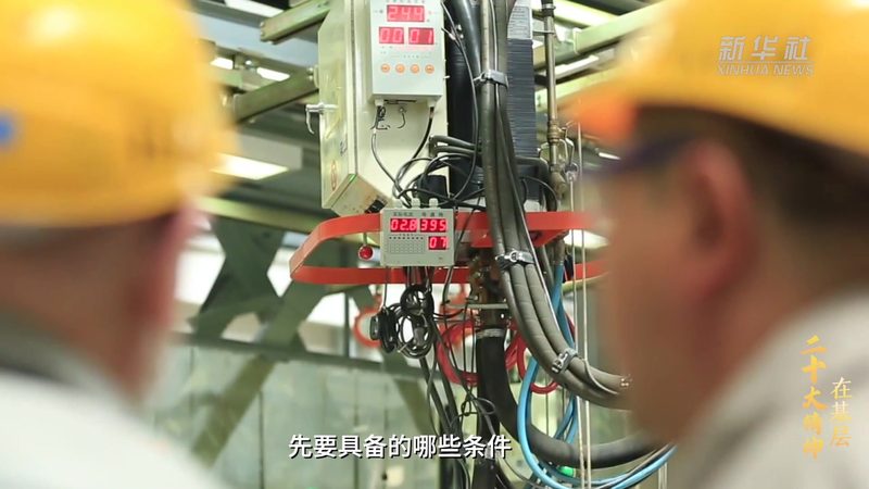 数据定制服务：解析其优缺点与适用场景